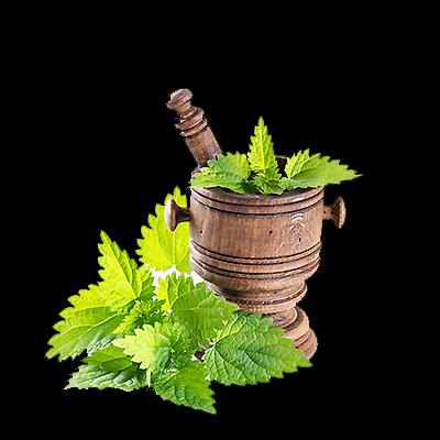 عرقیجات طبیعت معتدل