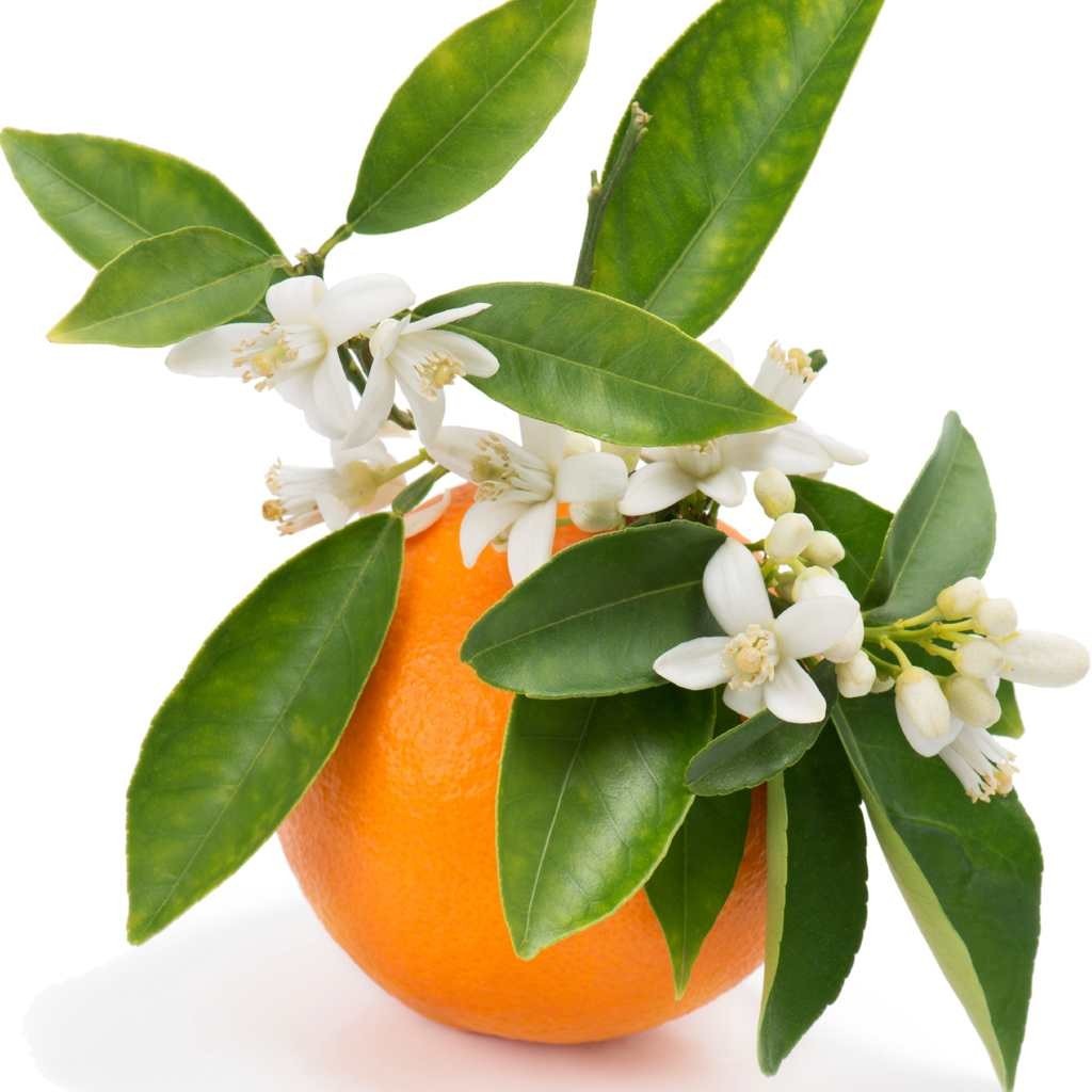 عرق بهارنارنج عرق بهارنارنج