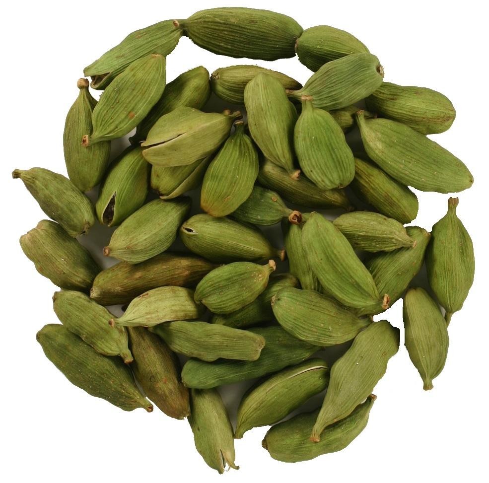 عرق هل عرق هل