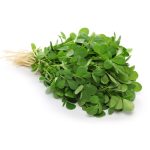 عرق شنبلیله- سرزمین سلامتی کاکوتی