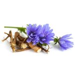 عرق کاسنی- سرزمین سلامتی کاکوتی