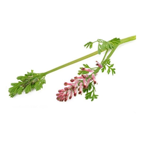 عرق شاتره- سرزمین سلامتی کاکوتی