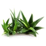 عرق آلوئه ورا- سرزمین سلامتی کاکوتی