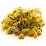 عرق گل ختمی