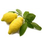 عرق ترنج- سرزمین سلامتی کاکوتی