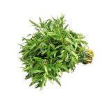 عرق مرزه- سرزمین سلامتی کاکوتی