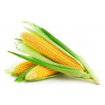 عرق کاکل ذرت- سرزمین سلامتی کاکوتی