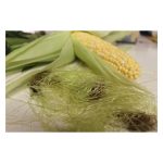 عرق کاکل ذرت