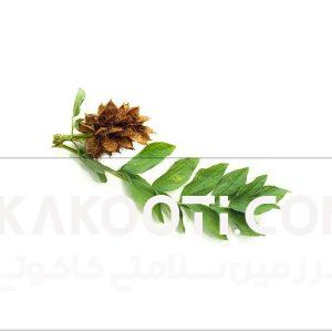 عرق شیرین بیان- سرزمین سلامتی کاکوتی - عطاری آنلاین | کاکوتی عرق شیرین بیان- سرزمین سلامتی کاکوتی