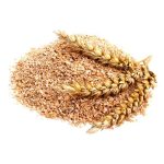 عرق شلتوک- سرزمین سلامتی کاکوتی