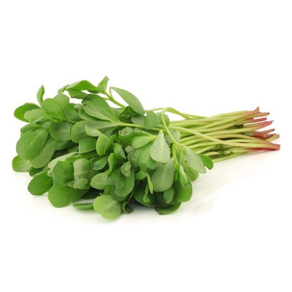 عرق خرفه- سرزمین سلامتی کاکوتی