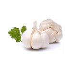 عرق سیر- سرزمین سلامتی کاکوتی