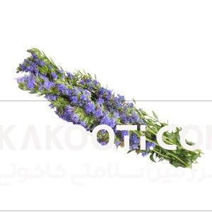 عرق گل زوفا- سرزمین سلامتی کاکوتی