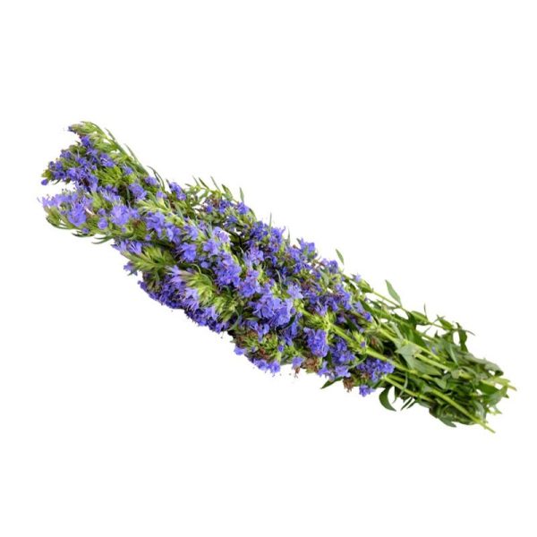 عرق گل زوفا- سرزمین سلامتی کاکوتی