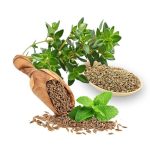 چهار عرق گزم- سرزمین سلامتی کاکوتی