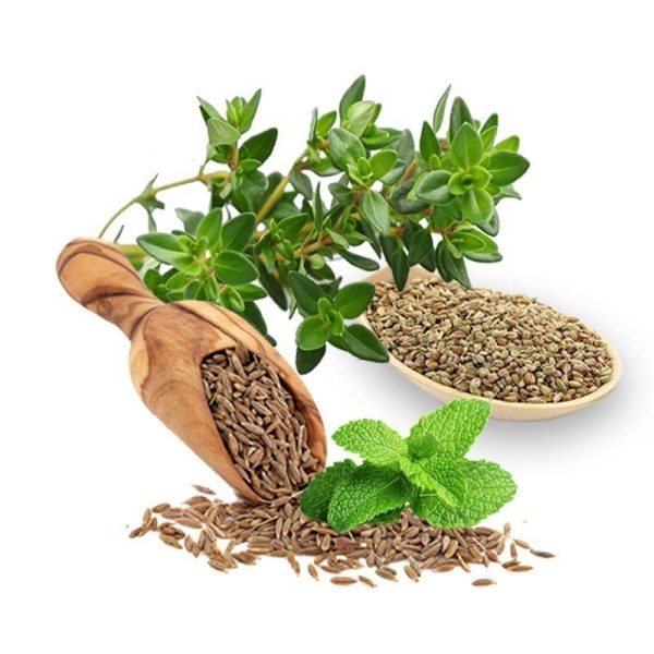 چهار عرق گزم- سرزمین سلامتی کاکوتی