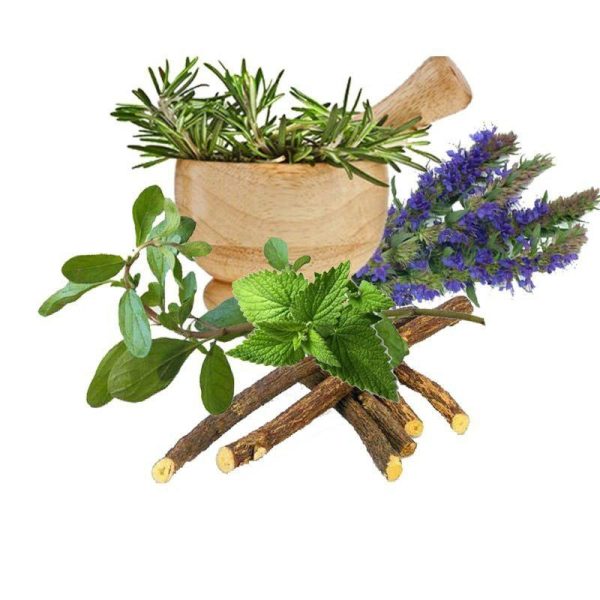 معجون سرماخوردگی و سرفه- سرزمین سلامتی کاکوتی