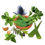 معجون قند خون- سرزمین سلامتی کاکوتی