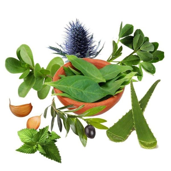 معجون قند خون- سرزمین سلامتی کاکوتی