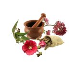 معجون شب ادراری- سرزمین سلامتی کاکوتی