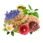 معجون اعصاب- سرزمین سلامتی کاکوتی