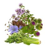 معجون لاغری- سرزمین سلامتی کاکوتی