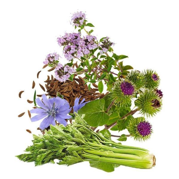 معجون لاغری- سرزمین سلامتی کاکوتی