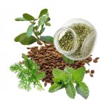 معجون چهل گیاه- سرزمین سلامتی کاکوتی