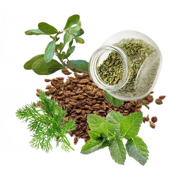 معجون چهل گیاه- سرزمین سلامتی کاکوتی