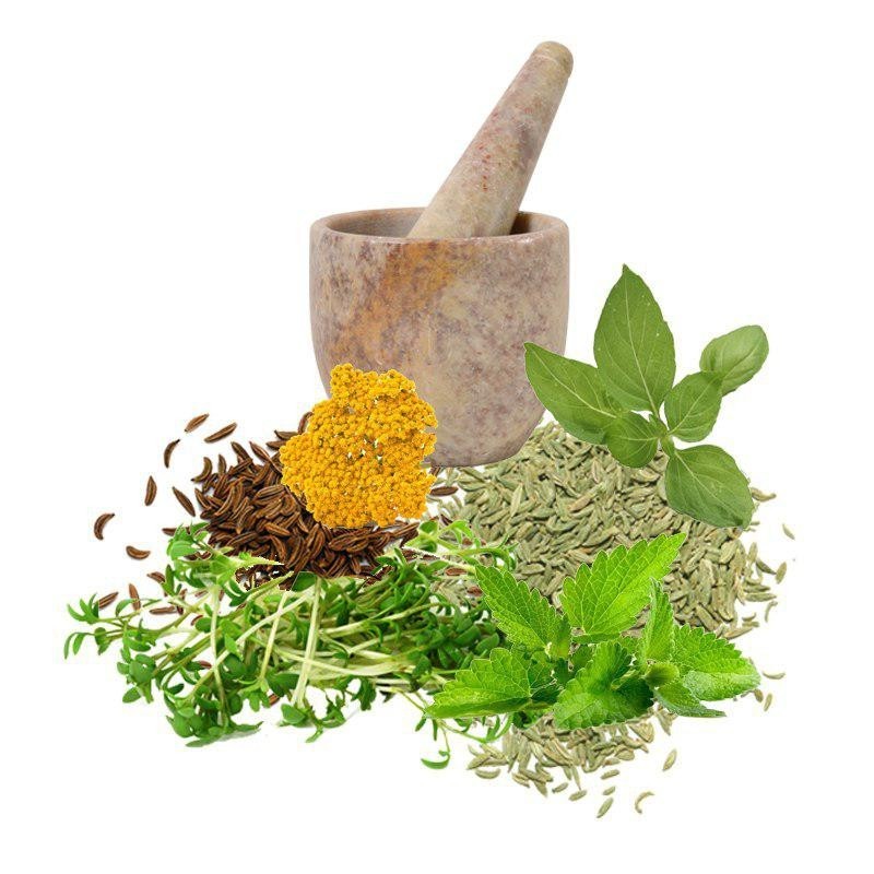 معجون شیر افزا -سرزمین سلامتی کاکوتی