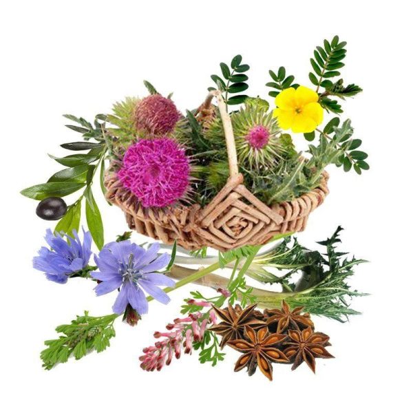 معجون کبد -سرزمین سلامتی کاکوتی