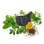 معجون خونساز -سرزمین سلامتی کاکوتی