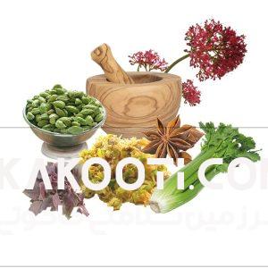 معجون میگرن -سرزمین سلامتی کاکوتی