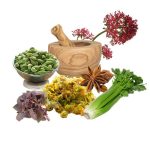 معجون میگرن -سرزمین سلامتی کاکوتی