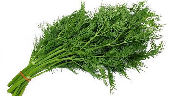 عرق سنتی ، عرقیجات ، عرق کاکوتی ، مجله کاکوتی ، سرزمین سلامتی کاکوتی