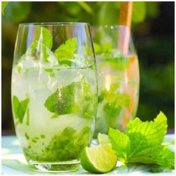 شربت بیدمشک- سرزمین سلامتی کاکوتی