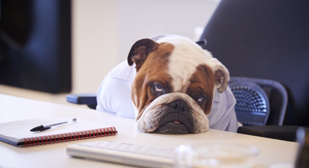 خستگی و بی‌حالی بدن