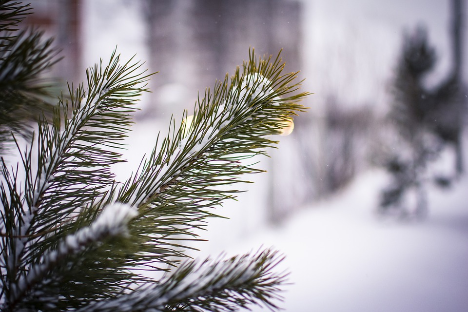 غلبه بر سودا با استفاده از روش‌های طب سنتی