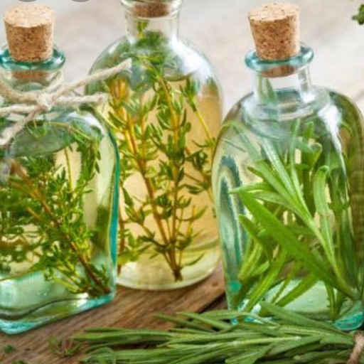 خواص دارویی عرق خارشتر