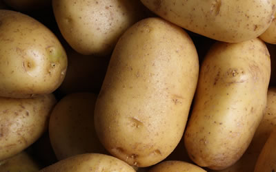 آشنایی با سیب‌زمینی و خواص درمانی آن در طب سنتی