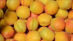 آشنایی با میوه زردآلو و خواص درمانی آن در طب سنتی