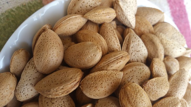  آشنایی با بادام درختی و خواص درمانی آن در طب سنتی