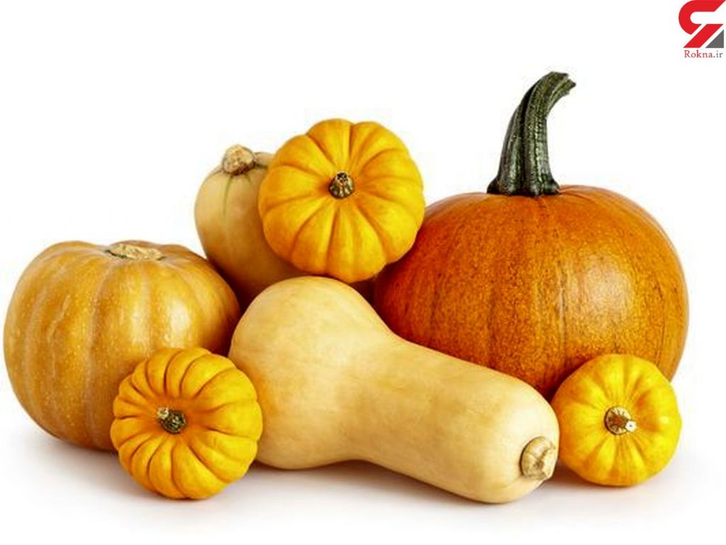  آشنایی با کدو حلوایی و خواص درمانی آن در طب سنتی