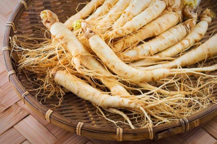 خواص درمانی جینسینگ