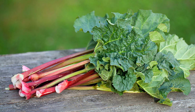 خواص درمانی ریواس