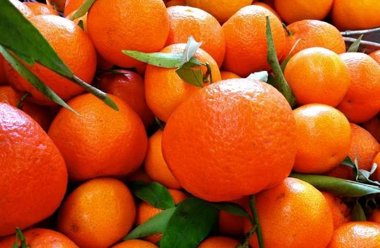 آشنایی با نارنگی و خواص درمانی آن در طب سنتی