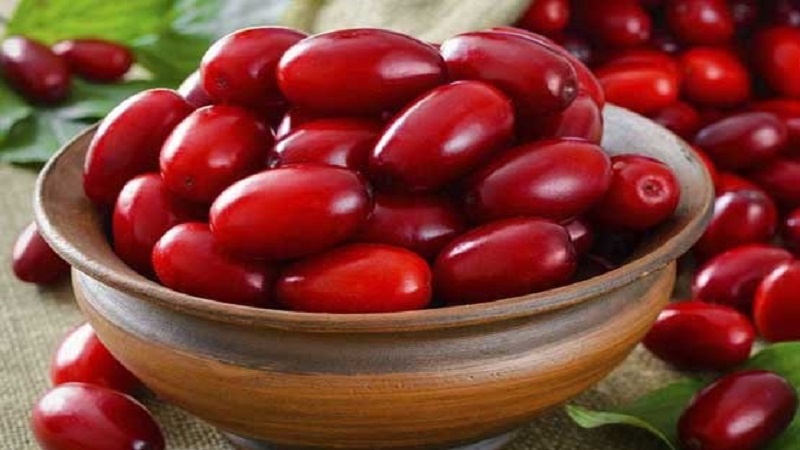  آشنایی با زغال اخته و خواص درمانی آن در طب سنتی