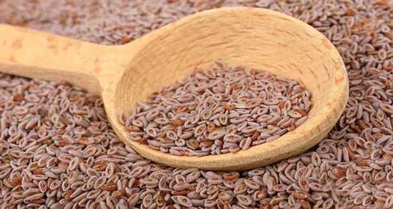 خواص گیاه اسفرزه