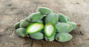 خواص چغاله بادام