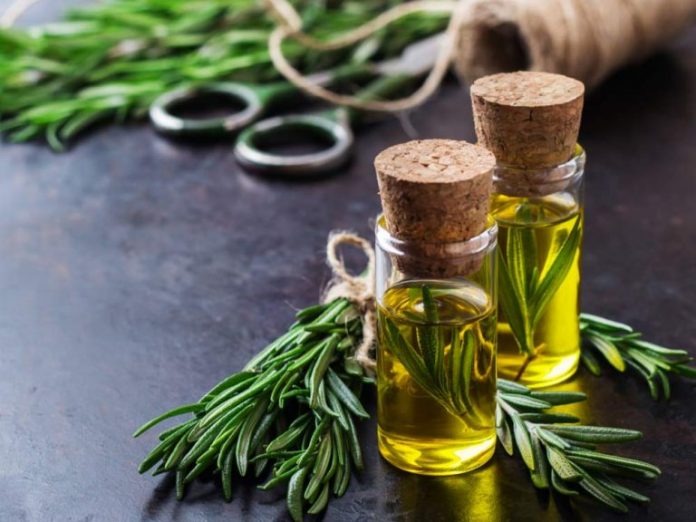  آشنایی با روغن رزماری و خواص درمانی آن در طب سنتی